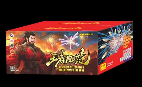 FD 1.5-138V WANG ZHE FENG FAN